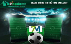 Trang thông tin thể thao 7m là gì?