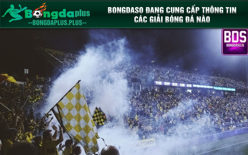 Bongdaso Trang Web Thể Thao Uy Tín Và Nhanh Chóng Nhất Bongdaso đang cung cấp thông tin các giải bóng đá nào?