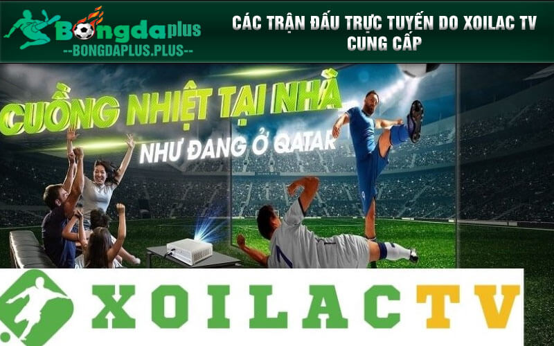 Giới Thiệu Trang Trực Tiếp Bóng Đá Xoilac Tv Adamantix.Org Các trận đấu trực tuyến do Xoilac TV cung cấp