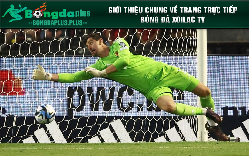 Giới Thiệu Trang Trực Tiếp Bóng Đá Xoilac Tv Adamantix.Org Giới thiệu chung về trang trực tiếp bóng đá Xoilac TV