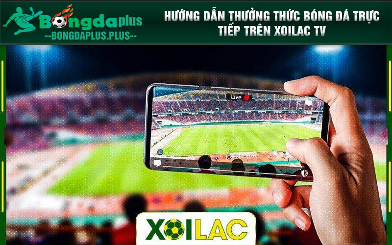 Xoilac Tv Somosorlando.Info - Trực Tiếp Bóng Đá Chất Lượng Hướng dẫn thưởng thức bóng đá trực tiếp trên Xoilac TV