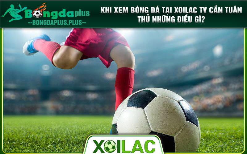 Xoilac Tv Jeffrey-Dean-Morgan.Net - Xem Trực Tiếp Bóng Đá 2024 Khi xem bóng đá tại Xoilac TV cần tuân thủ những điều gì?