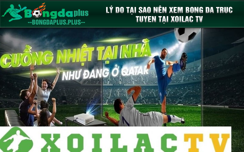 Xoilac Tv Somosorlando.Info Kênh Xem Bóng Đá Trực Tuyến Lý do tại sao nên xem bong da truc tuyen tại Xoilac TV