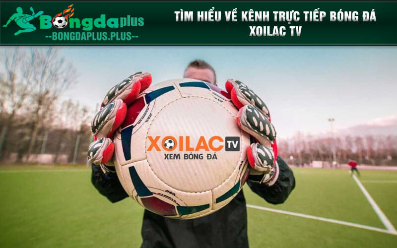 Xoilac Tv Nat-king-cole.org Trực Tiếp Bóng Đá Miễn Phí 24/7 Tìm hiểu về kênh trực tiếp bóng đá Xoilac TV