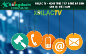 Xoilac TV - Kênh trực tiếp bóng đá đỉnh cao tại Việt Nam