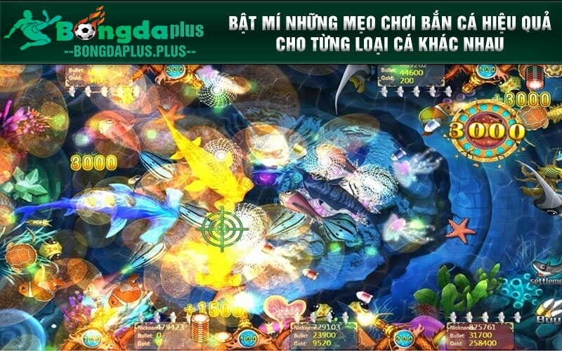 Bật Mí Thủ Thuật Bắn Cá Hiệu Quả Giúp Game Thủ Ăn Tiền Khủng Bật mí những mẹo chơi Bắn Cá hiệu quả cho từng loại cá khác nhau