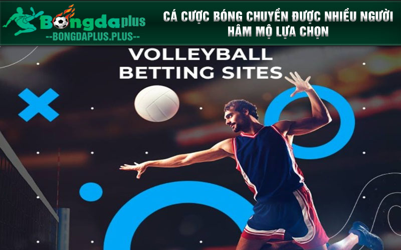 Lĩnh Vực Cá Độ Thể Thao Và Những Bộ Môn Cược Hấp Dẫn Cá cược bóng chuyền được nhiều người hâm mộ lựa chọn