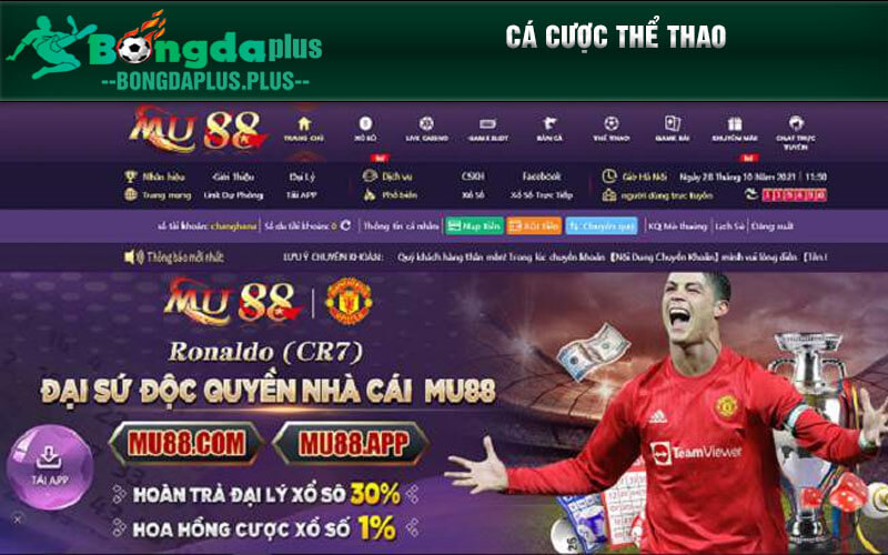 Mu88 Hey - Thương Hiệu Cá Cược Chất Lượng Số 1 Châu Á Cá cược thể thao