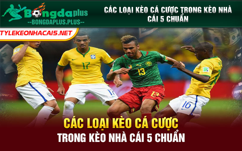 Kèo Nhà Cái 5 Chuẩn Là Gì? Cách Soi Kèo 5 Chuẩn Thắng Lớn Các loại kèo cá cược trong kèo nhà cái 5 chuẩn