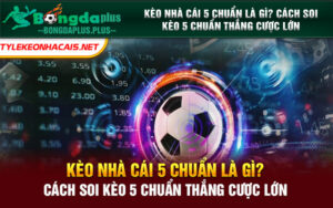 Cách Soi Kèo 5 Chuẩn Thắng Cược Lớn