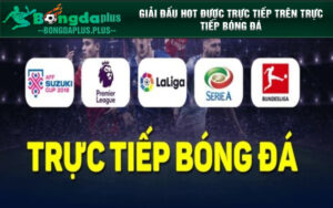 Giải đấu hot được trực tiếp trên Trực tiếp bóng đá