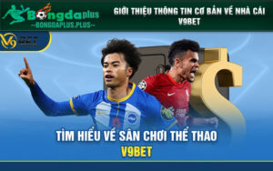 Giới thiệu thông tin cơ bản về nhà cái V9bet 