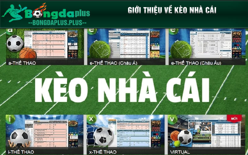 Kèo Nhà Cái - Tỷ Lệ Cược Tốt Nhất Việt Nam Giới thiệu về kèo nhà cái