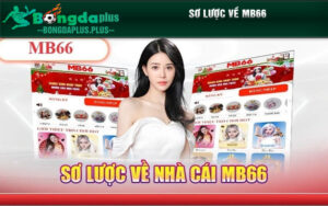 Sơ lược về MB66