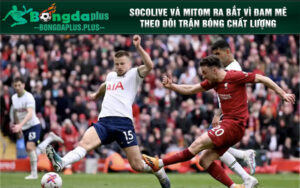 Socolive và Mitom ra bắt vì đam mê theo dõi trận bóng chất lượng