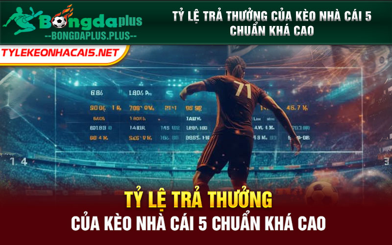 Kèo Nhà Cái 5 Chuẩn Là Gì? Cách Soi Kèo 5 Chuẩn Thắng Lớn Tỷ lệ trả thưởng của kèo nhà cái 5 chuẩn khá cao