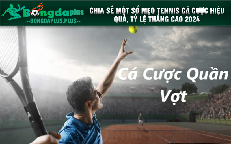 Cá Cược Tennis Là Gì? Cách Chơi Luôn Thắng Cho Người Chơi Mới Chia sẻ kinh nghiệm cá cược quần vợt