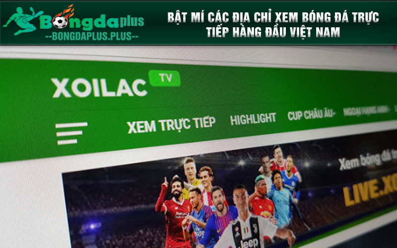 Top Những Link Xem Bóng Đá Trực Tiếp Chất Lượng Tại Việt Nam Xoilac