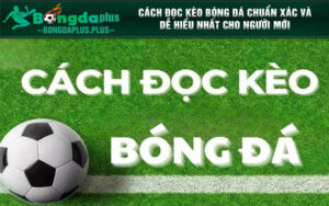 Cách Đọc Kèo Bóng Đá Chuẩn Xác Và Dễ Hiểu Nhất Cho Người Mới