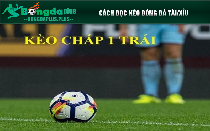 Cách Đọc Kèo Bóng Đá Chuẩn Xác Và Dễ Hiểu Nhất Cho Người Mới Tìm hiểu cách đọc kèo bóng đá Tài Xỉu để cược thắng