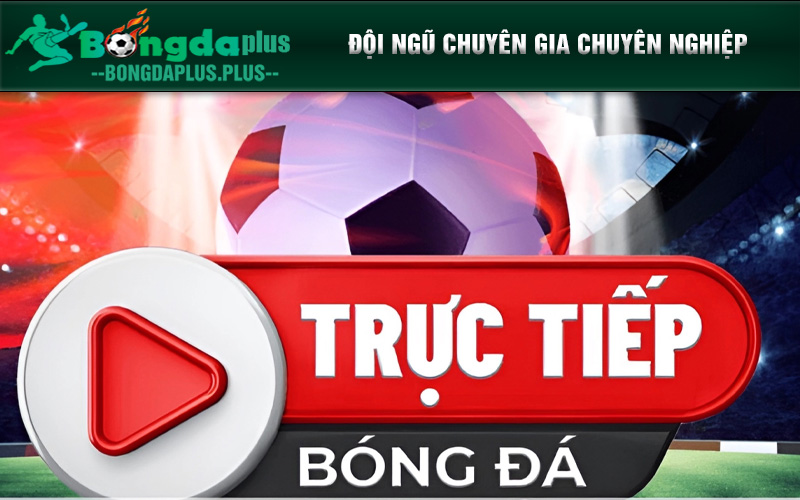 Rakhoi Tv - Địa Chỉ Xem Bóng Đá Với Nhiều Cung Bậc Cảm Xúc Đội ngũ chuyên gia chuyên nghiệp