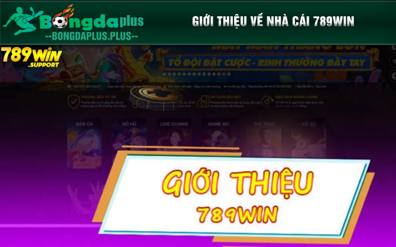 Nhà Cái 789Win - Sân Chơi Cá Cược Đổi Thưởng Hấp Dẫn Đôi nét về nhà cái 789Win