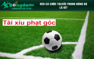 Kèo cá cược tài/xỉu trong bóng đá là gì?