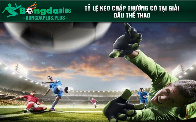 Mẹo Soi Kèo Chấp Từ Các Chuyên Gia Của Nhà Cái New88 Tỷ lệ kèo chấp thường có tại giải đấu thể thao