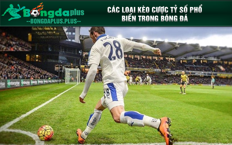Kèo Tỷ Số Là Gì? Tham Khảo Kinh Nghiệm Chuẩn Chuyên Gia Các loại kèo cược tỷ số phổ biến trong bóng đá