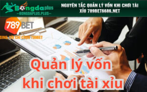 Nguyên tắc quản lý vốn khi chơi tài xỉu 789bet6686.net