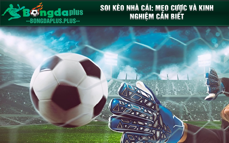 Soi Kèo Nhà Cái: Mẹo Cược Và Kinh Nghiệm Cần Biết 2024 Những trận đấu bóng đá không còn là việc lạ lùng cho người hâm mộ bóng đá