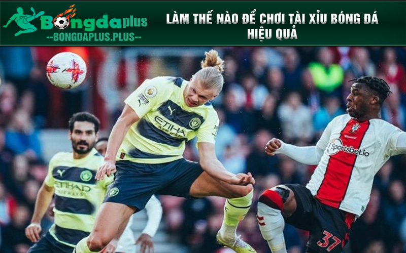 Tài Xỉu 1 Trái - Cách Chơi Kèo Hiệu Quả Nhất Hiện Nay Làm thế nào để chơi tài xỉu bóng đá hiệu quả