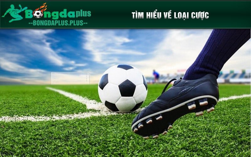 Tỷ Lệ Kèo Malaysia Là Gì? Hé Lộ Những Điều Có Thể Bạn Chưa Biết Mẹo chơi kèo Malaysia an toàn
