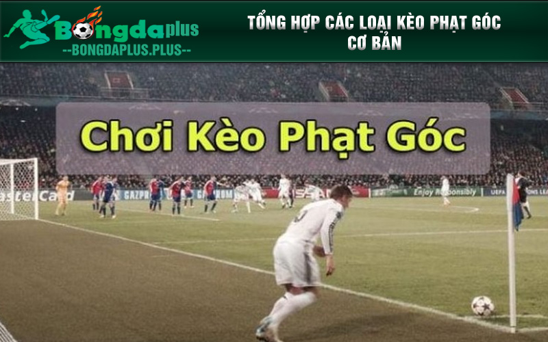 Tất Tần Tật Thông Tin Về Kèo Phạt Góc Mà Người Chơi Cần Biết Thông tin về các loại kèo phạt góc