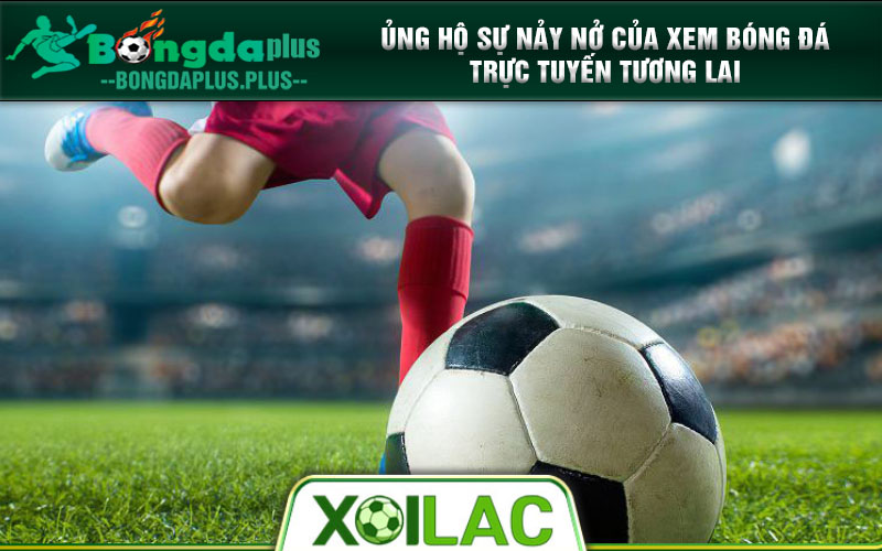 Xoi Lac Tv Dẫn Lối Cho Niềm Đam Mê Bóng Đá Tại Xoilac-Tvv.Lol Ủng hộ sự nảy nở của xem bóng đá trực tuyến tương lai