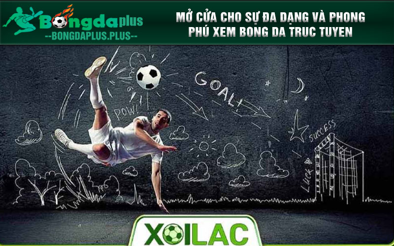 Xoi Lac Tv Dẫn Lối Cho Niềm Đam Mê Bóng Đá Tại Xoilac-Tvv.Lol Mở cửa cho sự đa dạng và phong phú xem bong da truc tuyen