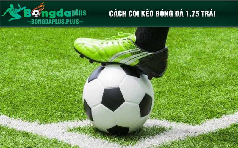 Cách Coi Kèo Bóng Đá - Hướng Dẫn Từ A Đến Z Cho Tân Binh Cách coi kèo bóng đá 1.75 trái