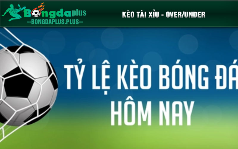 Tỷ Lệ Kèo Nhà Cái - Cập Nhật Thông Tin Và Kinh Nghiệm Kịp Thời Một số tỷ lệ kèo nhà cái bet thủ gặp thường xuyên