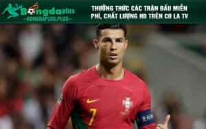 Thưởng thức các trận đấu miễn phí, chất lượng HD trên Co la tv