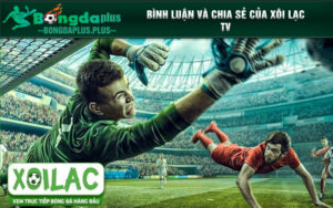 Bình luận và chia sẻ của xôi lạc tv