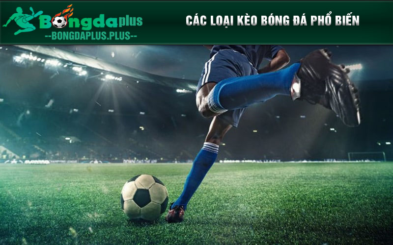 Bí Quyết Đọc Hiểu Kèo Bóng Đá Và Chiến Thuật Cá Cược Đỉnh Cao Các loại kèo bóng đá phổ biến