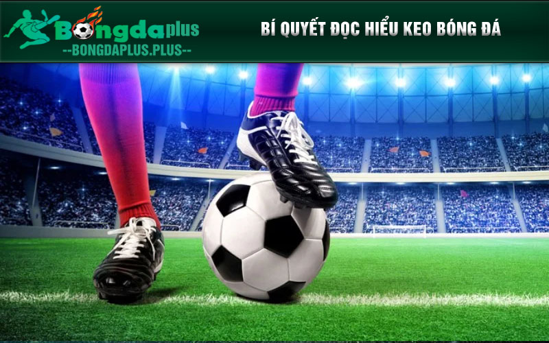 Bí Quyết Đọc Hiểu Kèo Bóng Đá Và Chiến Thuật Cá Cược Đỉnh Cao Bí quyết đọc hiểu keo bóng đá
