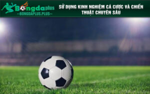 Sử dụng kinh nghiệm cá cược và chiến thuật chuyên sâu