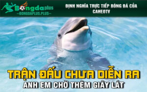 Định nghĩa trực tiếp bóng đá của CaheoTV