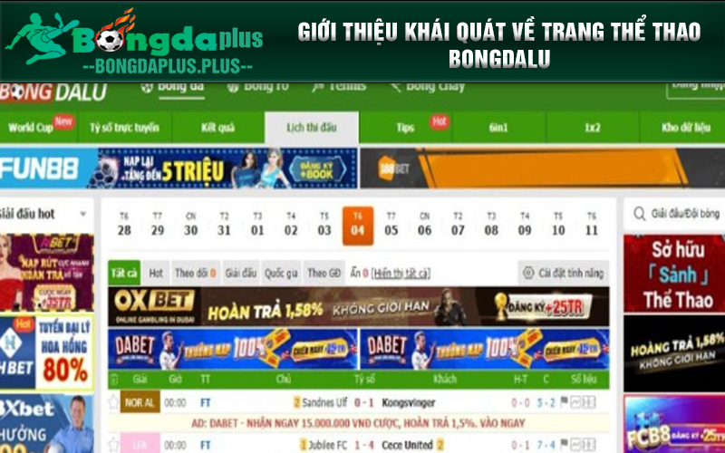Bongdalu - Cổng Thể Thao Trực Tuyến Hàng Đầu Việt Nam Giới thiệu khái quát về trang thể thao Bongdalu
