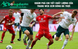 Khám phá chi tiết chất lượng của trang web xem bóng đá trực tuyến Mitomtv