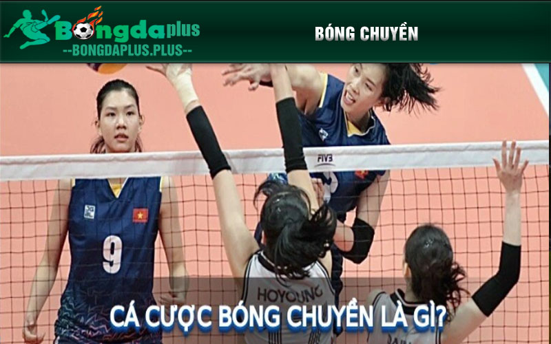 JUN88 - Top 6 Bộ Môn Thể Thao Được Yêu Thích Tại JUN88 Bóng chuyền