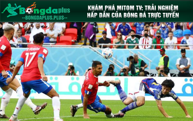 Sức Hút Của Mitom Tv - Nơi Hội Tụ Những Trận Cầu Nóng Hổi Khám phá Mitom TV: Trải nghiệm hấp dẫn của bóng đá trực tuyến