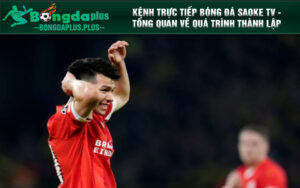 Kênh trực tiếp bóng đá Saoke TV - Tổng quan về quá trình thành lập kênh