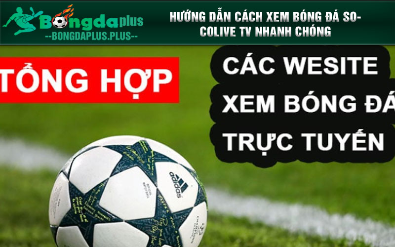 Socolive.net - Địa Chỉ Xem Bóng Đá Ổn Định, Không Mất Phí Hướng dẫn cách xem bóng đá Socolive TV nhanh chóng